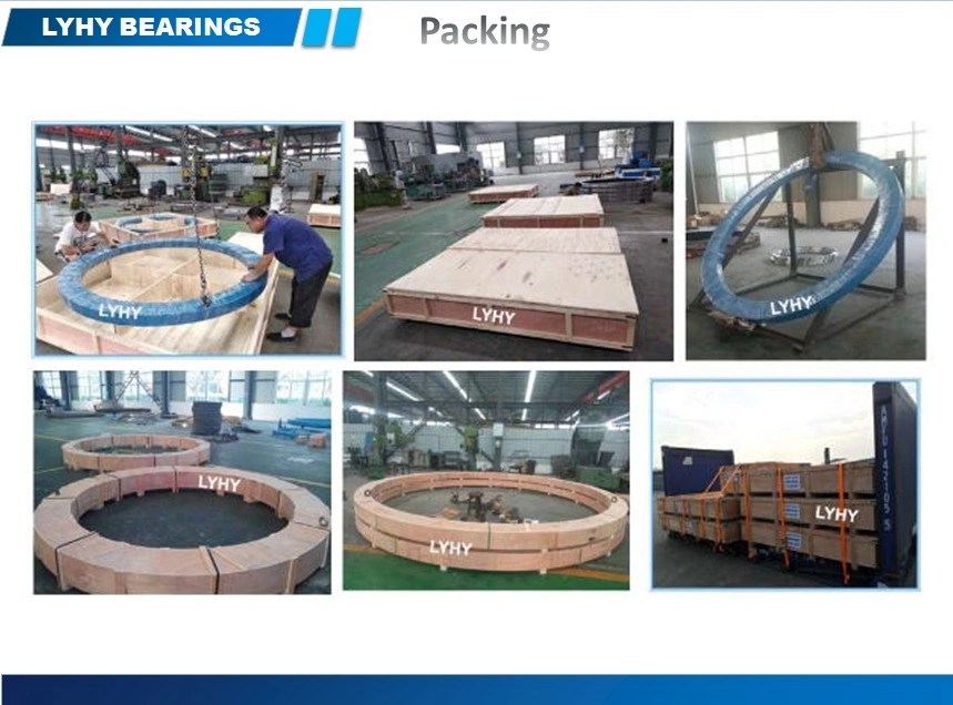 Excavator Slewing Ring Bearings Ex60-1 Excavator Bearing Ball Turntable Bearing